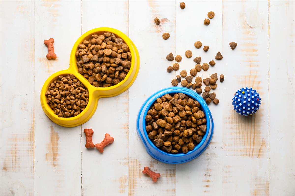 Selecting food and water bowls